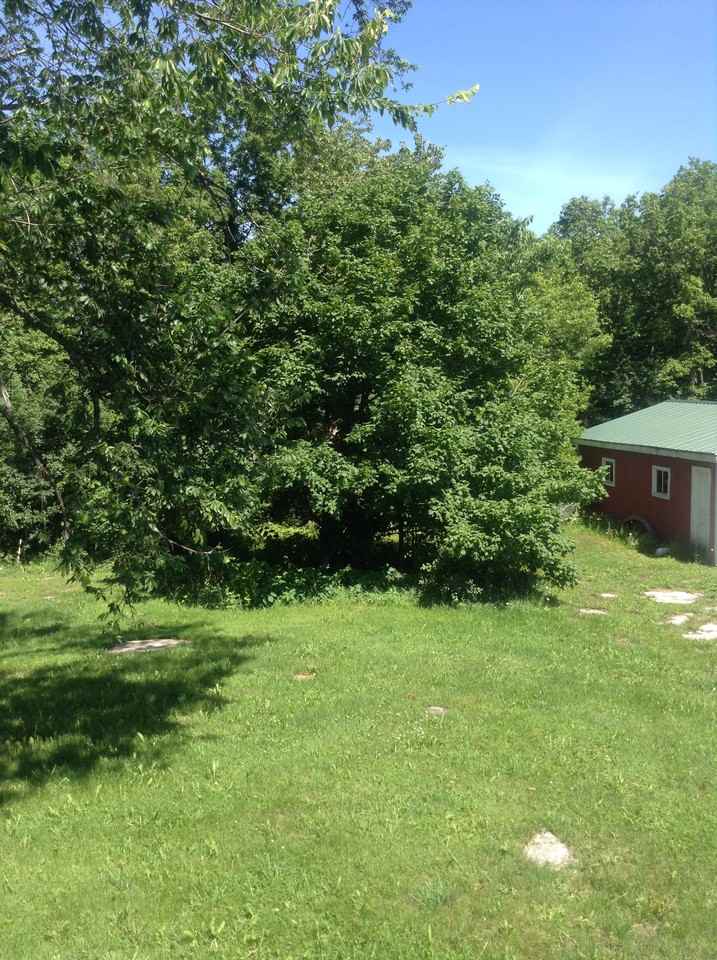 31450 Shantyville Rd - Photo 2 of 12