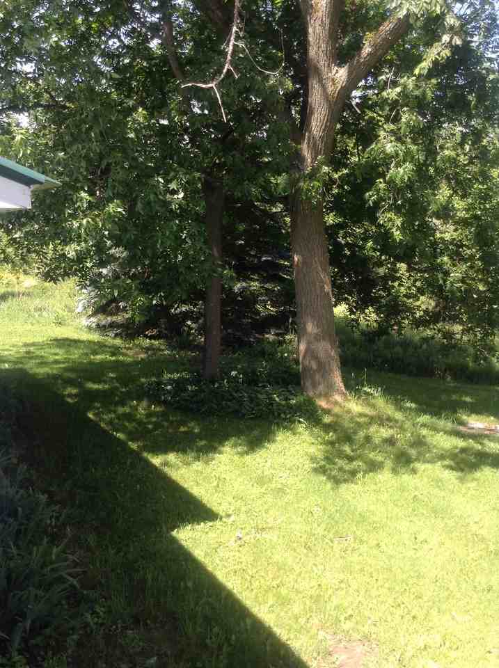 31450 Shantyville Rd - Photo 3 of 12