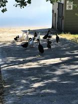 26 Bing St N #26BI - Photo 1 of 1