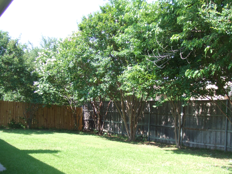 1304 Wildflower Ct - Photo 3 of 18