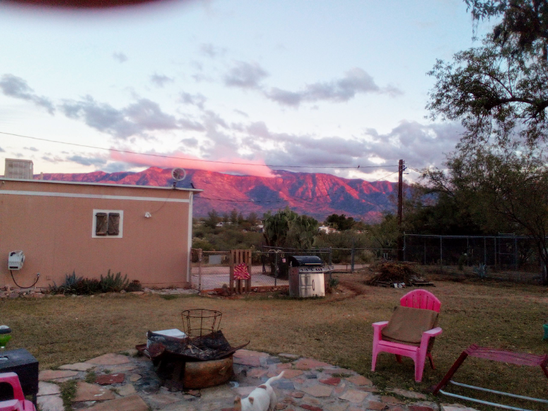 16020 N Avenida Del Canada #B - Photo 2 of 28