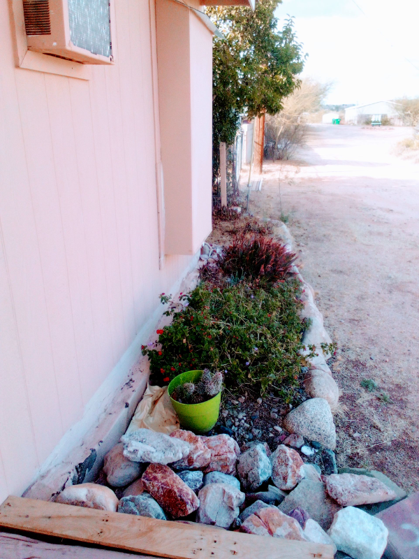 16020 N Avenida Del Canada #B - Photo 4 of 28