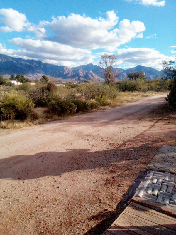 16020 N Avenida Del Canada #B - Photo 6 of 28