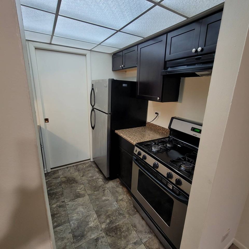 9937 S Cicero Ave #405 - Photo 4 of 17