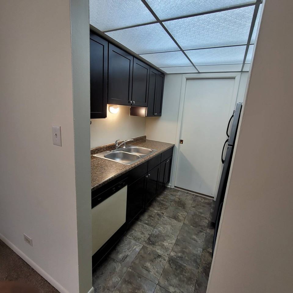 9937 S Cicero Ave #405 - Photo 3 of 17