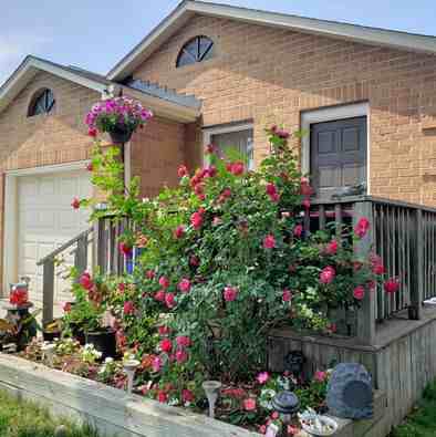 372 Woodlawn Crescent Main Level - Photo 3 of 21