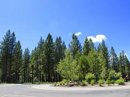 featured image of 10551 Jibboom St