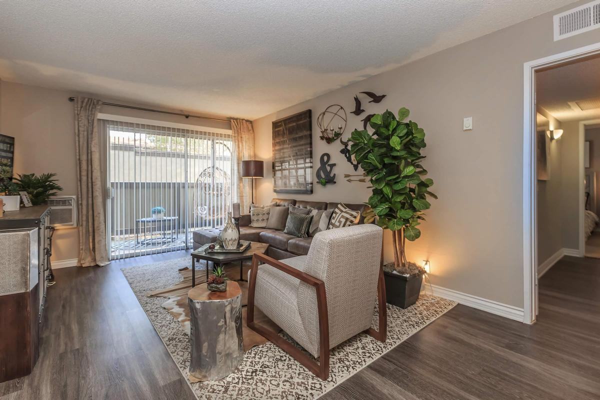 1717 E Birch St - Photo 4 of 12