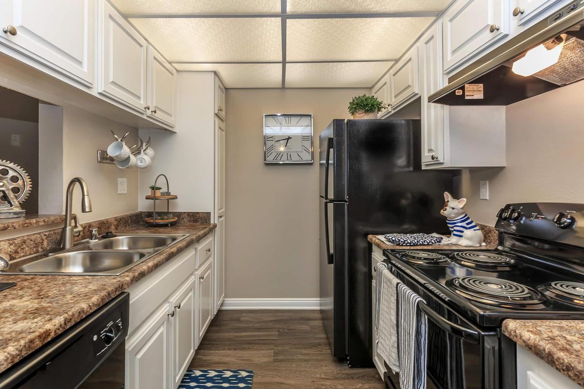 1717 E Birch St - Photo 7 of 12