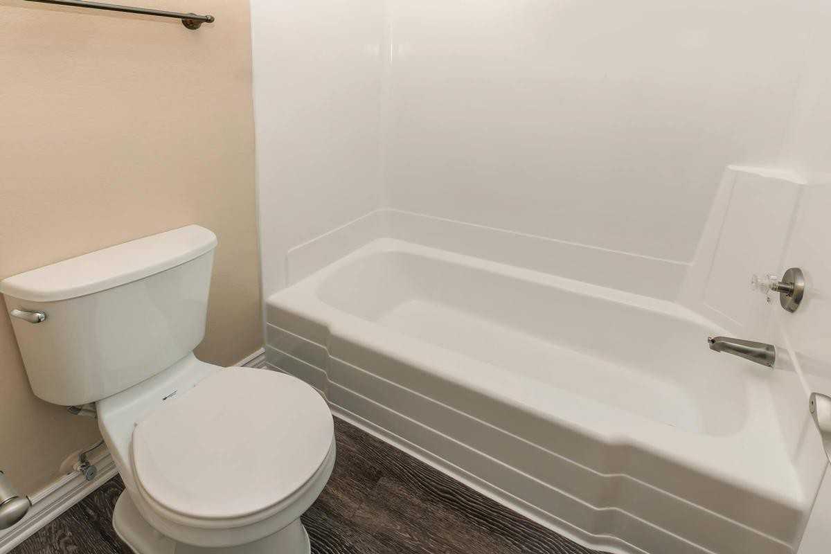 1717 E Birch St - Photo 5 of 11