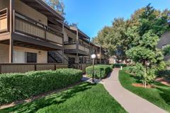 1717 E Birch St - Photo 1 of 1