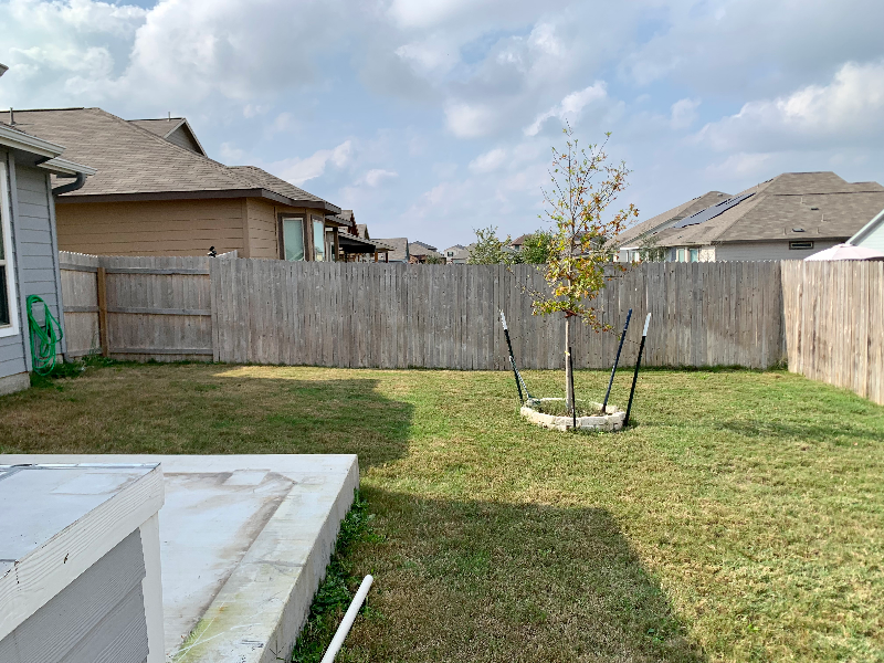 6727 Hibiscus Fls - Photo 3 of 31