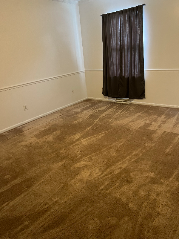 56885 Wegee Rd #1 - Photo 2 of 18