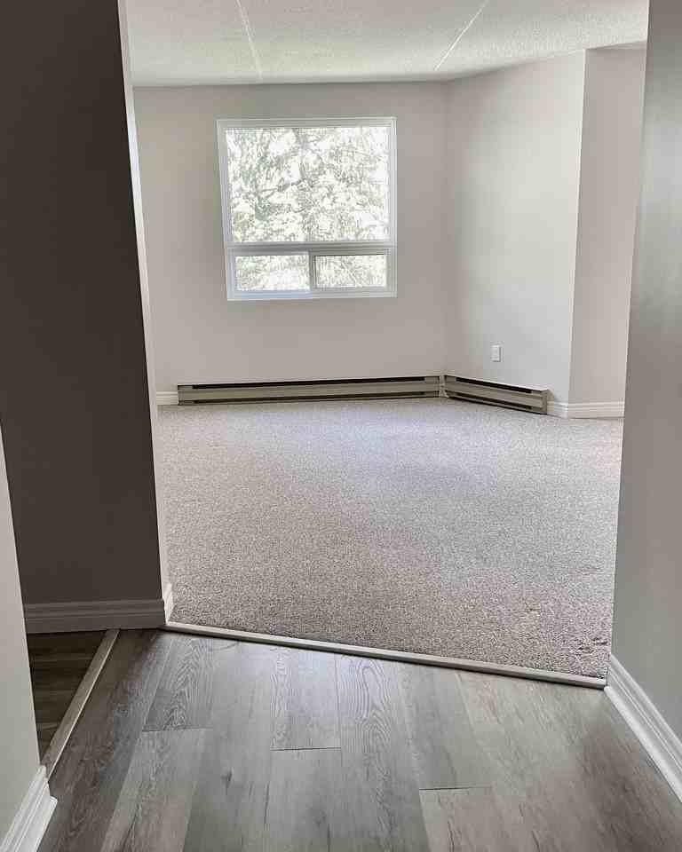 4658 Drummond Road - Photo 3 of 10