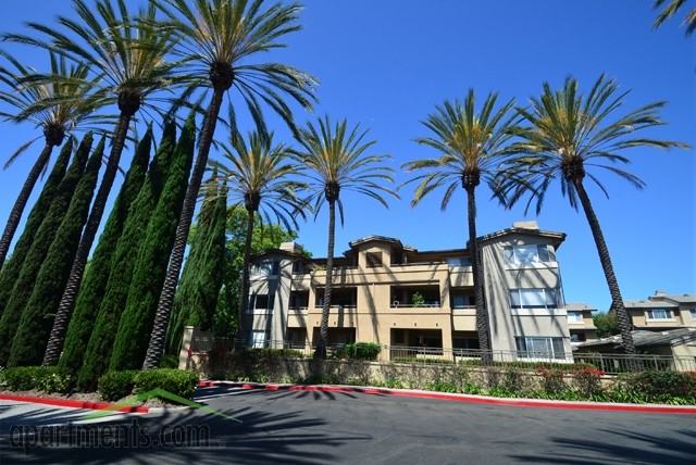 St. Moritz Resort Apartments - Photo 2 of 71