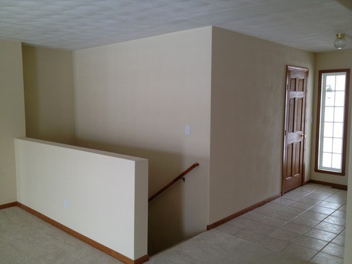 11265 Lemon Grass Ln - Photo 3 of 15