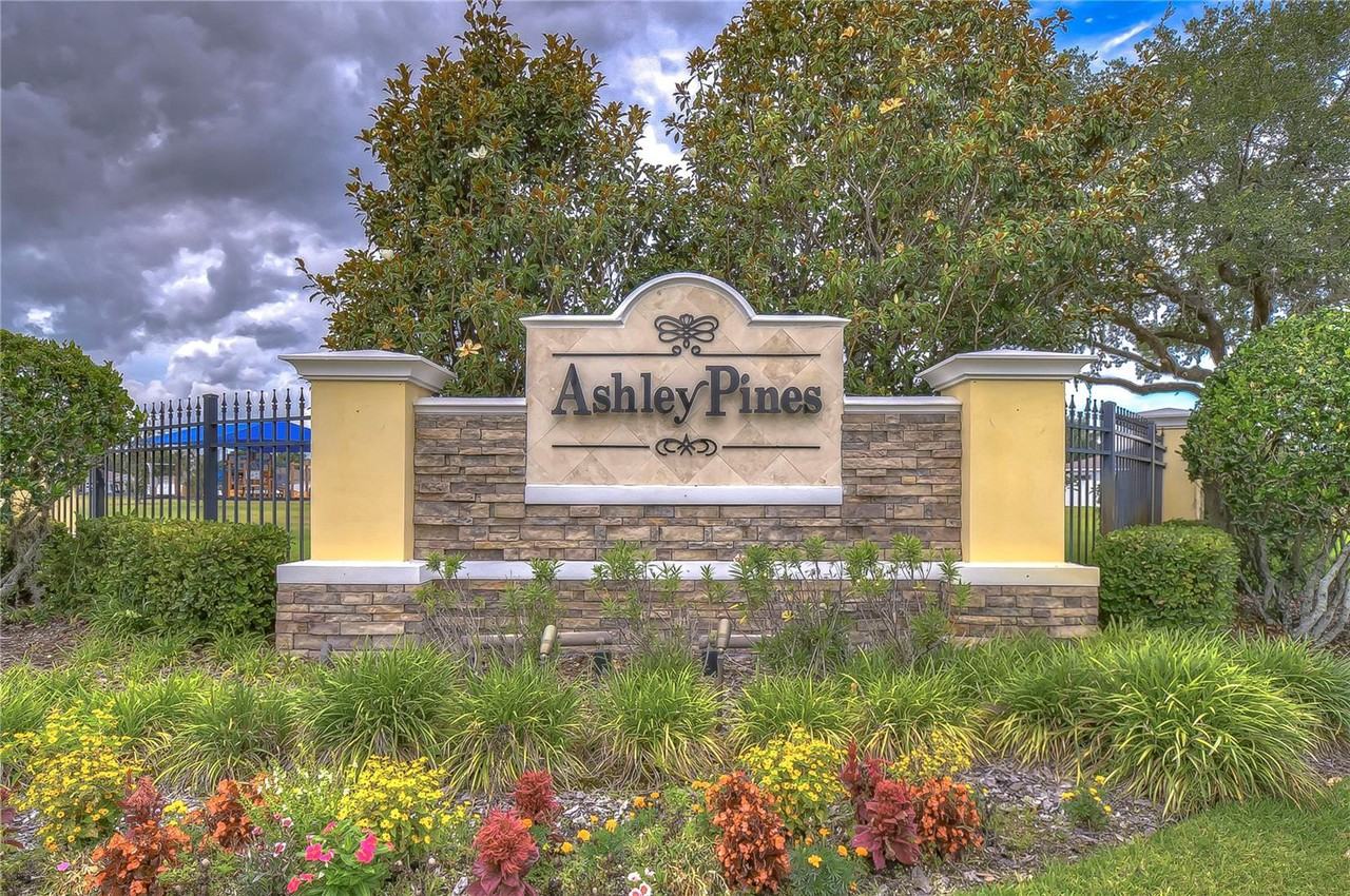 30852 Temple Stand Ave - Photo 2 of 35