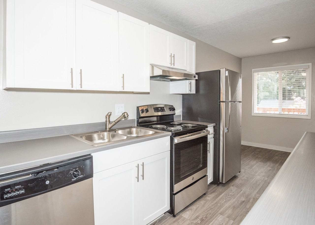 Alexander Vincent I - Photo 5 of 19