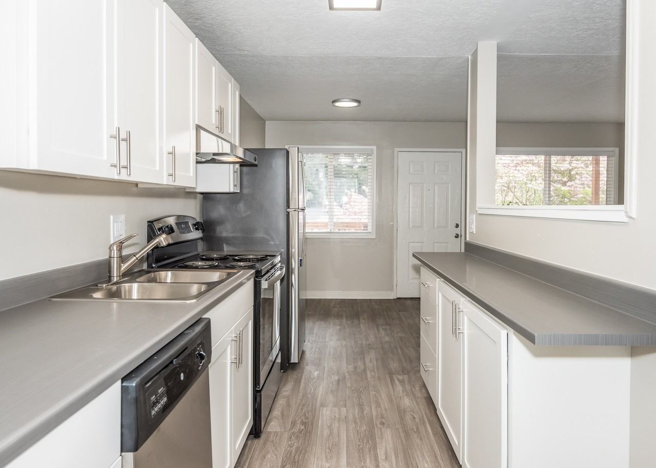 Alexander Vincent I - Photo 4 of 19