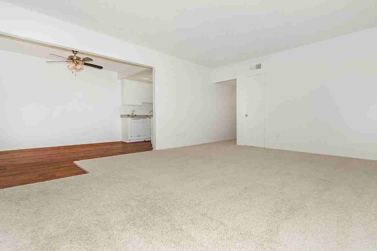 125 N Belinda Cir - Photo 3 of 13