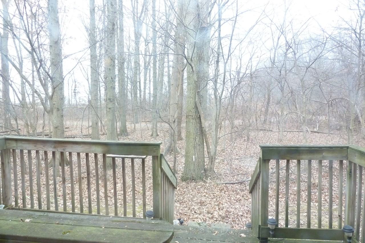 8146 Newark Ave - Photo 3 of 17