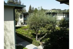 Whitman Green - Photo 3 of 25