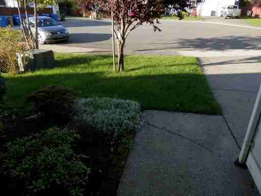18313 SE 260th Pl - Photo 2 of 20