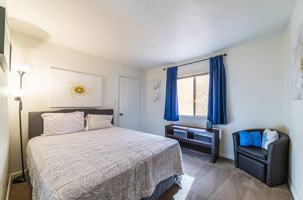 featured image of 1926 N Avenida De Palmas