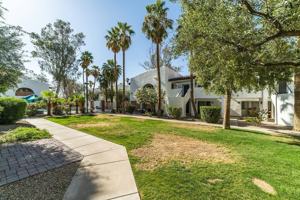 featured image of 1926 N Avenida De Palmas