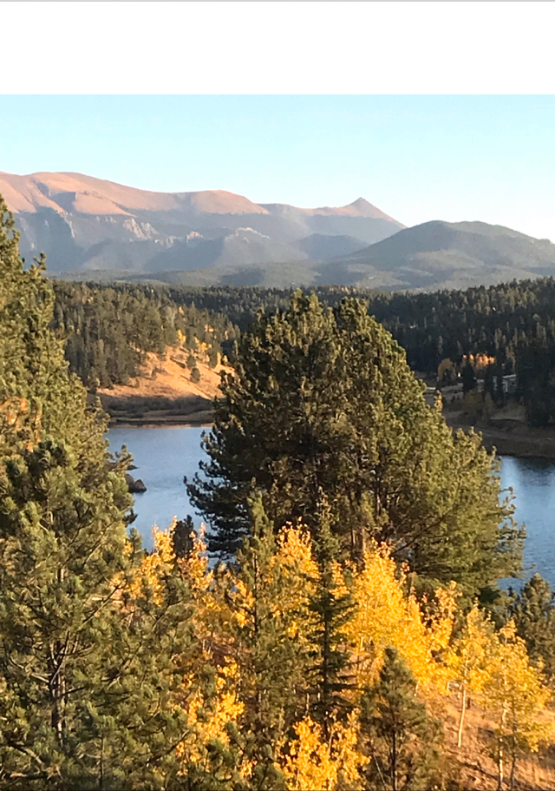 6 Pike View Cir - Photo 2 of 11