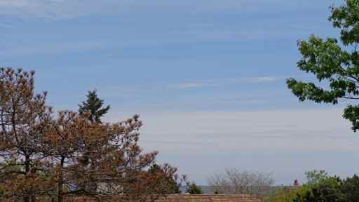 10 Hunts Point Rd - Photo 2 of 12