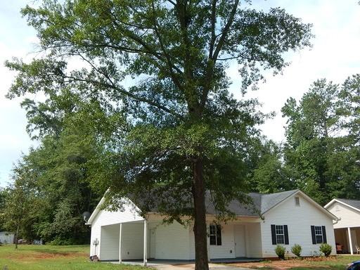 427 Old Newnan Rd - Photo 2 of 15