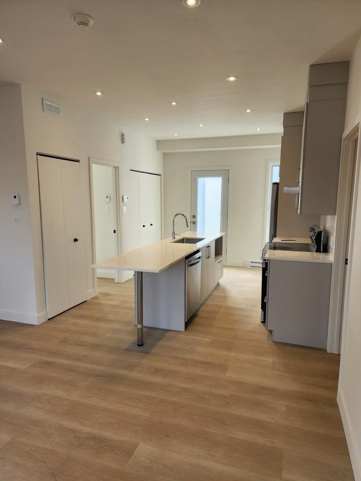 1163 Rue de Laprairie, Montréal, QUÉBEC H3K 2V6 3 Bedroom Apartment