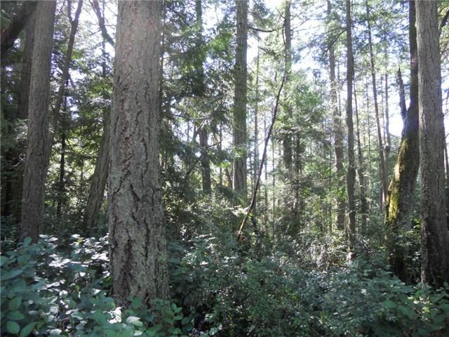 8916 126th Ave Ct #AI - Photo 2 of 3