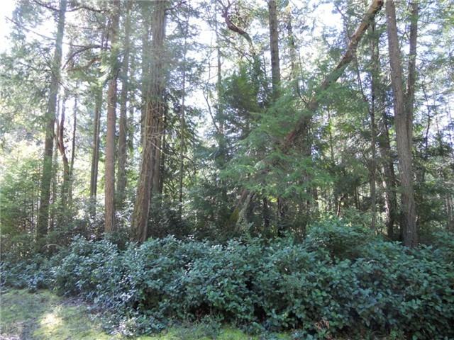 8916 126th Ave Ct #AI - Photo 3 of 3