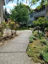 Rochelle Apartments - Photo 1 of 1