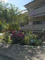 Rochelle Apartments - Photo 1 of 1