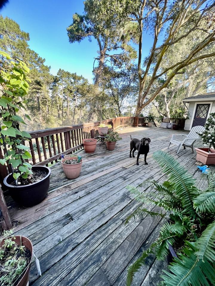 230 Mar Vista Drive, Monterey, CA 93940 Room for 1,550/month Zumper