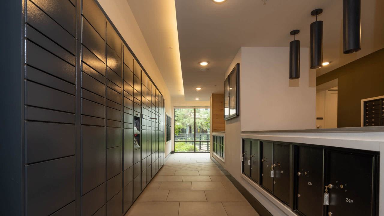 The Weaver - Photo 3 of 50