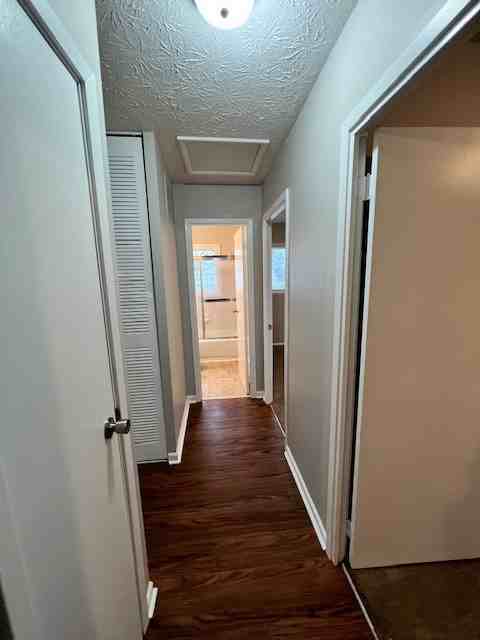 3433 Maura Ln - Photo 6 of 13