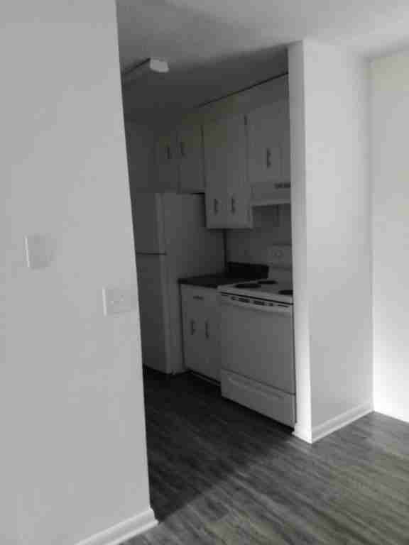 300 Apache Dr - Photo 4 of 14