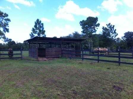 23901 Sisler Ave - Photo 3 of 9