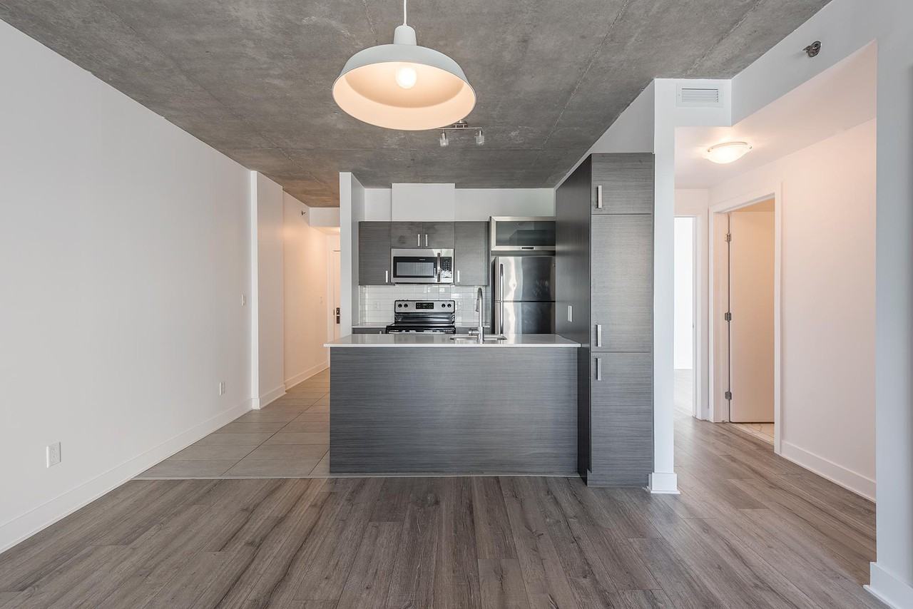 2130 rue Laforce - Photo 3 of 50