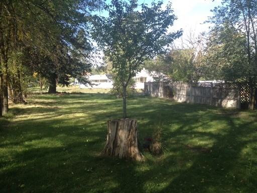 3328 W Hartson Ave - Photo 2 of 12