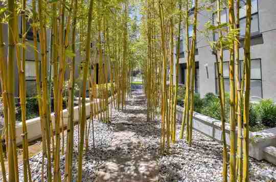 De Anza Properties 3 of 4