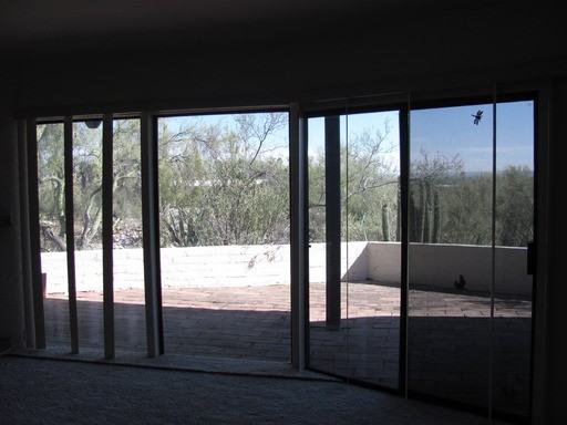 6218 N Campbell Ave #11 - Photo 2 of 19