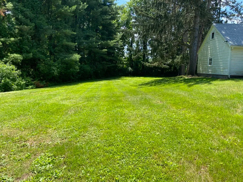 1288 Federal St - Photo 5 of 18