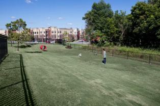 3301 N Elm Ave - Photo 1 of 1