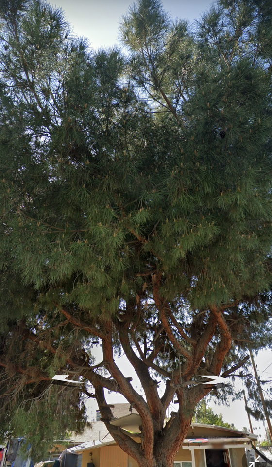 830 S Kern St #830SKERN - Photo 2 of 3