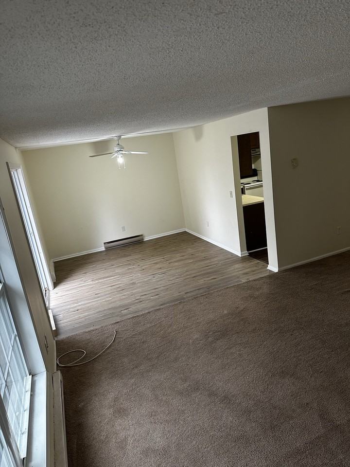 41 Chappell St #8 - Photo 2 of 11